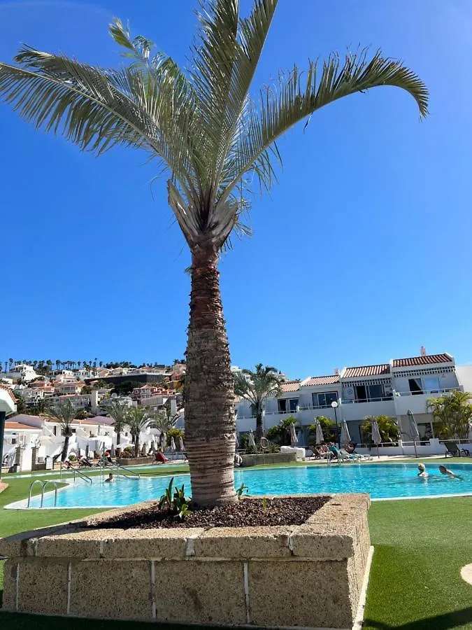 Lovely Sunny Apartment Costa Adeje  Spain