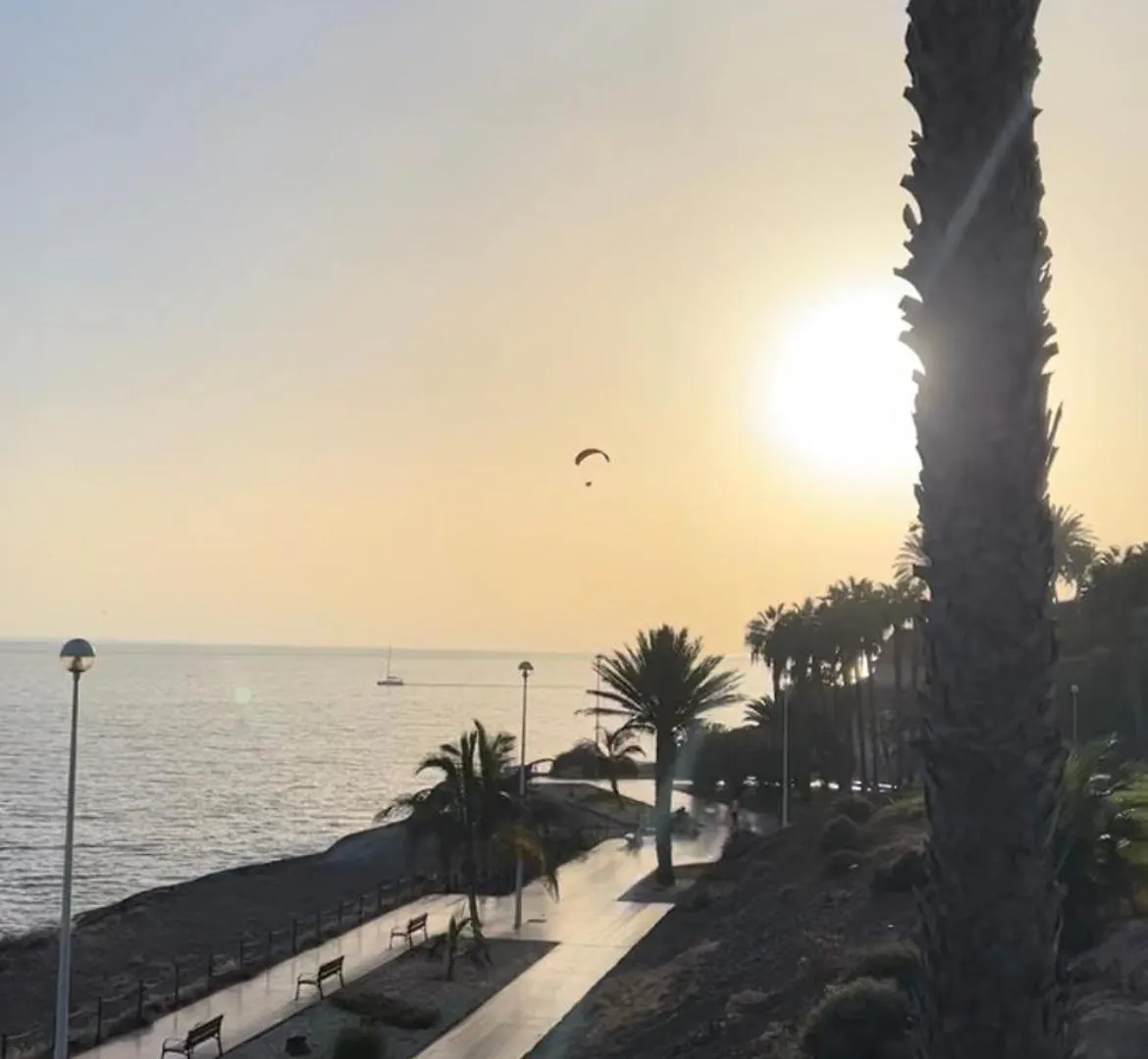 Lovely Sunny Apartment Costa Adeje   Costa Adeje (Tenerife)